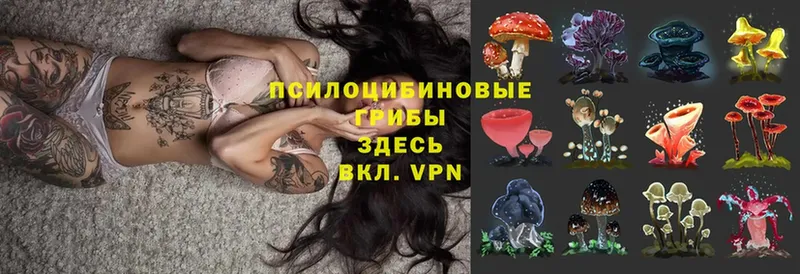 Галлюциногенные грибы Psilocybe  omg ONION  Артёмовск 